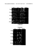 Compositions Useful for the Treatment of Diabetes and Other Chronic Disorder diagram and image