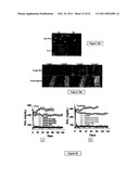 Compositions Useful for the Treatment of Diabetes and Other Chronic Disorder diagram and image