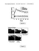 Compositions Useful for the Treatment of Diabetes and Other Chronic Disorder diagram and image