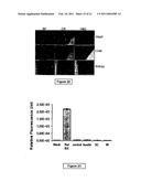 Compositions Useful for the Treatment of Diabetes and Other Chronic Disorder diagram and image