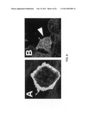 ACTIVE AGENTS, COMPOSITIONS, AND METHODS FOR INHIBITING AND REVERSING PLATELET FUNCTION diagram and image