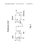 Hyaluronic Acid and Chondroitin Sulfate Based Hydrolyzed Collagen Type II and Method of Making Same diagram and image