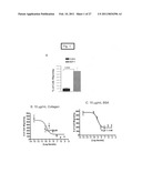 Methods and compositions for inhibiting cell migration and treatment of inflammatory conditions diagram and image