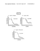 Methods and compositions for inhibiting cell migration and treatment of inflammatory conditions diagram and image