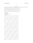 USE OF IMP3 AS A PROGNOSTIC MARKER FOR CANCER diagram and image