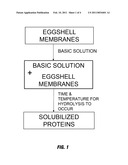 NOVEL PROCESS FOR SOLUBILIZING PROTEIN FROM A PROTEINACEOUS MATERIAL AND COMPOSITIONS THEREOF diagram and image
