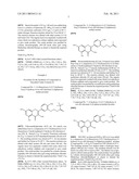 NOVEL QUERCETIN DERIVATIVES AS ANTI-CANCER AGENTS diagram and image