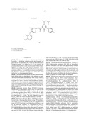 4-PYRIDINONE COMPOUNDS AND THEIR USE FOR CANCER diagram and image