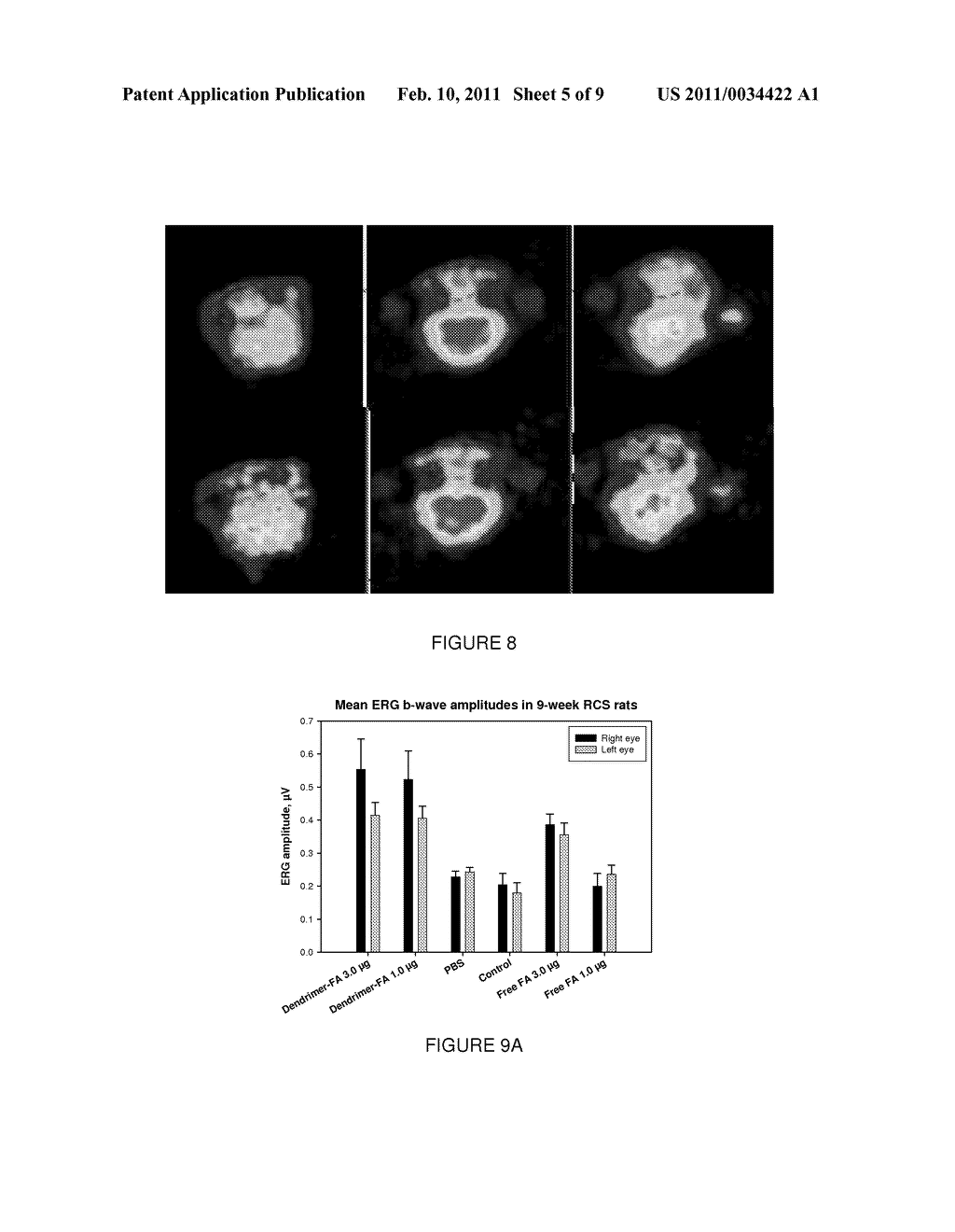 DENDRIMERS FOR SUSTAINED RELEASE OF COMPOUNDS - diagram, schematic, and image 06