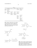 NOVEL CONJUGATES FOR TREATING NEURODEGENERATIVE DISEASES AND DISORDERS diagram and image