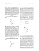 POLYMER ORGANOCATALYST AND PREPARATION PROCESS diagram and image