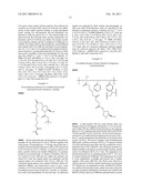 POLYMER ORGANOCATALYST AND PREPARATION PROCESS diagram and image