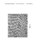 OLIGONUCLEOTIDE SEQUENCE FORMULA FOR LABELING OLIGNUCLEOTIDE PROBES AND PROTEINS FOR IN-SITU ANALYSIS diagram and image