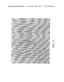 OLIGONUCLEOTIDE SEQUENCE FORMULA FOR LABELING OLIGNUCLEOTIDE PROBES AND PROTEINS FOR IN-SITU ANALYSIS diagram and image