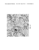 OLIGONUCLEOTIDE SEQUENCE FORMULA FOR LABELING OLIGNUCLEOTIDE PROBES AND PROTEINS FOR IN-SITU ANALYSIS diagram and image