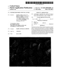 Method for Purification of Lactose diagram and image