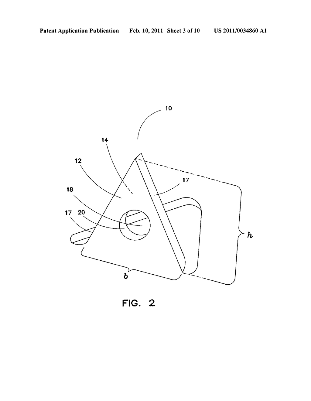 MICRO-NEEDLE ARRAY AND METHOD OF USE THEREOF - diagram, schematic, and image 04