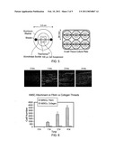 MICROTHREAD DELIVERY SYSTEM diagram and image