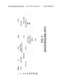 METHOD AND SYSTEM FOR CREATING AND MANAGING A VARIABLE NUMBER OF VISIBLE INTERNET PROTOCOL (IP) ADDRESSES diagram and image