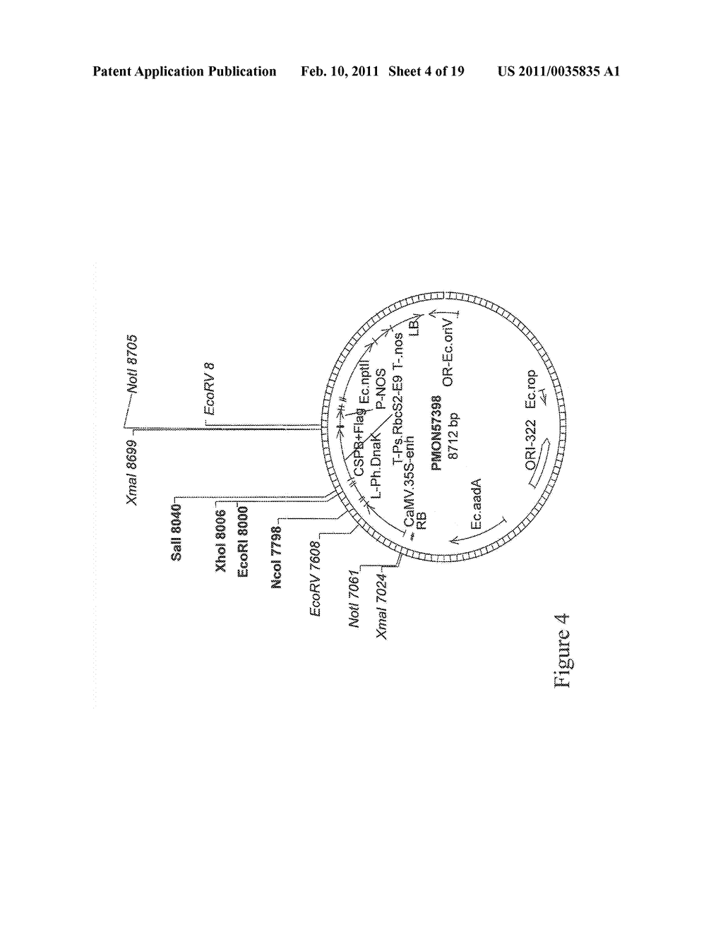Methods for Enhancing Stress Tolerance in Plants and Compositions Thereof - diagram, schematic, and image 05