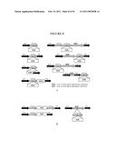 Recombinant DNA Constructs and Methods for Controlling Gene Expression diagram and image