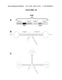 Recombinant DNA Constructs and Methods for Controlling Gene Expression diagram and image