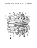 DUAL BARRIER PLUG SYSTEM FOR A WELLHEAD diagram and image