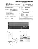 PHOTOVOLTAIC DEVICES diagram and image