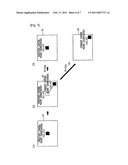 TOUCH SENSOR DEVICE AND POINTING COORDINATE DETERMINATION METHOD THEREOF diagram and image