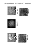 METHODS AND SYSTEMS OF GENERATING A THREE DIMENSIONAL MODEL BASED ON A PLURALITY OF IMAGES diagram and image