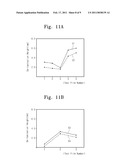 OPTICAL FILM WITH REDUCED DISTORTION, METHOD OF MANUFACTURING THE SAME, AND DISPLAY APPARATUS HAVING THE SAME diagram and image