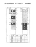 RECORDING METHOD, RECORDING DEVICE, OPTICAL DISC, OPTICAL DISC MANUFACTURING METHOD, AND OPTICAL DISC DRIVE DEVICE diagram and image