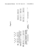 DOUBLE LINKED WIRELESS SENSOR NETWORK BEING CAPABLE OF BIDIRECTIONAL COMMUNICATION AND METHOD THEREOF diagram and image