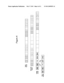 DOUBLE LINKED WIRELESS SENSOR NETWORK BEING CAPABLE OF BIDIRECTIONAL COMMUNICATION AND METHOD THEREOF diagram and image