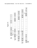 DOUBLE LINKED WIRELESS SENSOR NETWORK BEING CAPABLE OF BIDIRECTIONAL COMMUNICATION AND METHOD THEREOF diagram and image