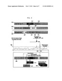 APPARATUS AND METHOD FOR DETECTING CELL IN WIRELESS COMMUNICATION SYSTEM diagram and image