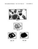 IMAGE SEGMENTATION diagram and image