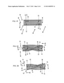 PARTITION AND TRANSPORTATION OF ENCAPSULATED ATOMS diagram and image