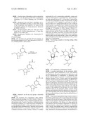 MODIFIED FLUORINATED NUCLEOSIDE ANALOGUES diagram and image