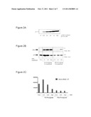 TREATMENT OF SYNUCLEINOPATHIES diagram and image