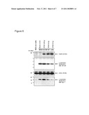 TREATMENT OF SYNUCLEINOPATHIES diagram and image