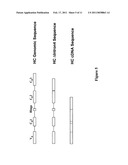 METHODS AND COMPOSITIONS FOR IMPROVING RECOMBINANT PROTEIN PRODUCTION diagram and image