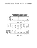 IL-17 HOMOLOGOUS POLYPEPTIDES AND THERAPEUTIC USES THEREOF diagram and image