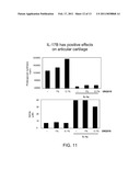 IL-17 HOMOLOGOUS POLYPEPTIDES AND THERAPEUTIC USES THEREOF diagram and image