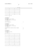 IL-17 HOMOLOGOUS POLYPEPTIDES AND THERAPEUTIC USES THEREOF diagram and image