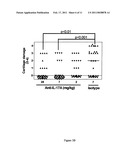 ANTIBODIES TO IL-17A diagram and image