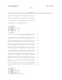 HE4 MONOCLONAL ANTIBODIES AND METHODS FOR THEIR USE diagram and image