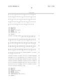 HE4 MONOCLONAL ANTIBODIES AND METHODS FOR THEIR USE diagram and image