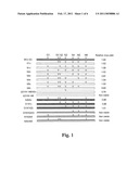 N-Linked Glycosylation Alteration in E0 and E2 Glycoprotein of Classical Swine Fever Virus and Novel Classical Swine Fever Virus Vaccine diagram and image