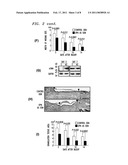 WOUND HEALING COMPOSITIONS AND TREATMENTS diagram and image